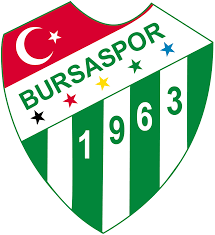Bursaspor Football Academy