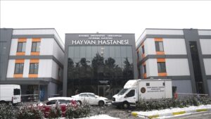 Hayvan Hastanesi Istanbul (Istanbul Animal Hospital)