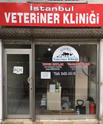 İstanbul Veteriner Kliniği