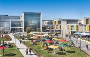 Özyeğin University, Istanbul