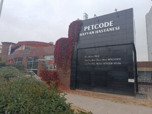 Petcode Veteriner Kliniği (Petcode Veterinary Clinic)