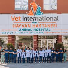 Vetart Hayvan Hastanesi (Vetart Animal Hospital)