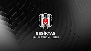 Beşiktaş JK (Istanbul)