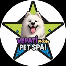 Vet-Spa (Istanbul)
