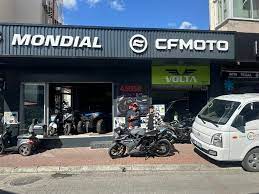 Ercan Motor (Samsun)