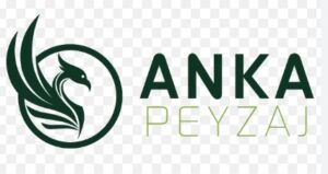 Anka Peyzaj