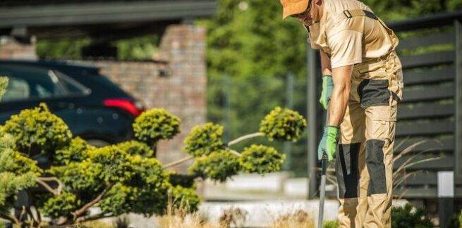 Les 10 meilleurs services de jardinage et d’entretien extérieur en Turquie