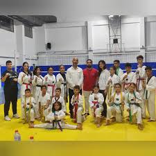 Adana Taekwondo Spor Kulübü (Club Sportif de Taekwondo d'Adana)