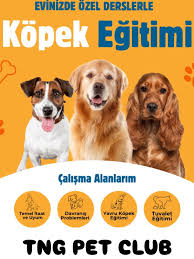 Akdeniz Köpek Akademisi (Antalya)