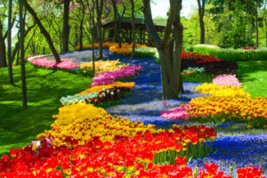 Emirgan Park (Emirgan Korusu) - Istanbul- Meilleurs Jardins de Turquie