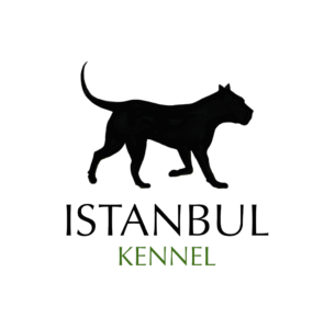 İstanbul Eğitim Terapileri (Istanbul)