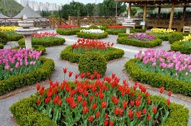Jardin Botanique de Nezahat Gökyiğit (NGBB) - Istanbul
