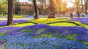 Jardin de Roses Gülhane Park - Istanbul