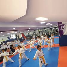 Keçiören Taekwondo İhtisas Kulübü (Club Spécialisé de Taekwondo de Keçiören)