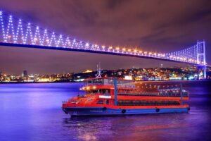 Le Dîner-Croisière Festif sur le Bosphore (Istanbul)