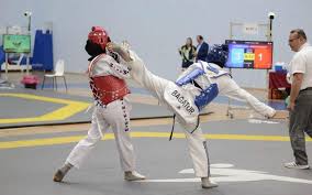 Marmara Taekwondo Spor Kulübü (Club Sportif de Taekwondo de Marmara)