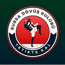 Bursa Dövüş Sanatları Merkezi (Bursa)