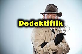 Fox Dedektiflik