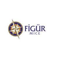 FIGÜR Congress & Organization (Ankara & Istanbul)