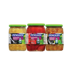 Penguen Gıda (Conserves haut de gamme en bocaux et métaux)