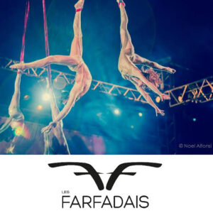 Les Farfadais