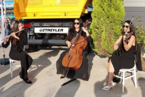 Yedi Organizasyon