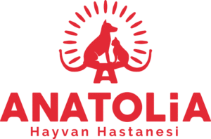 Anatolia Veteriner Kliniği