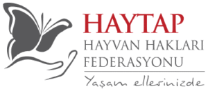 HAYTAP (Hayvan Hakları Federasyonu)- meilleures plateformes d'adoption d'animaux de Turquie