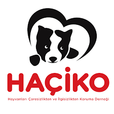 Haçiko (Hayvanları Çaresizlikten ve İlgisizlikten Koruma Derneği)