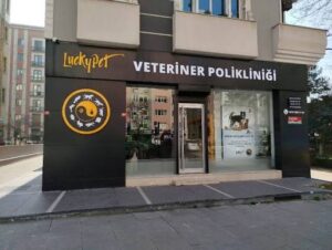 İstanbul Veteriner Polikliniği